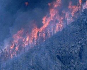 Hewlett Gulch Fire