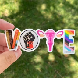 Roe roe roe your vote